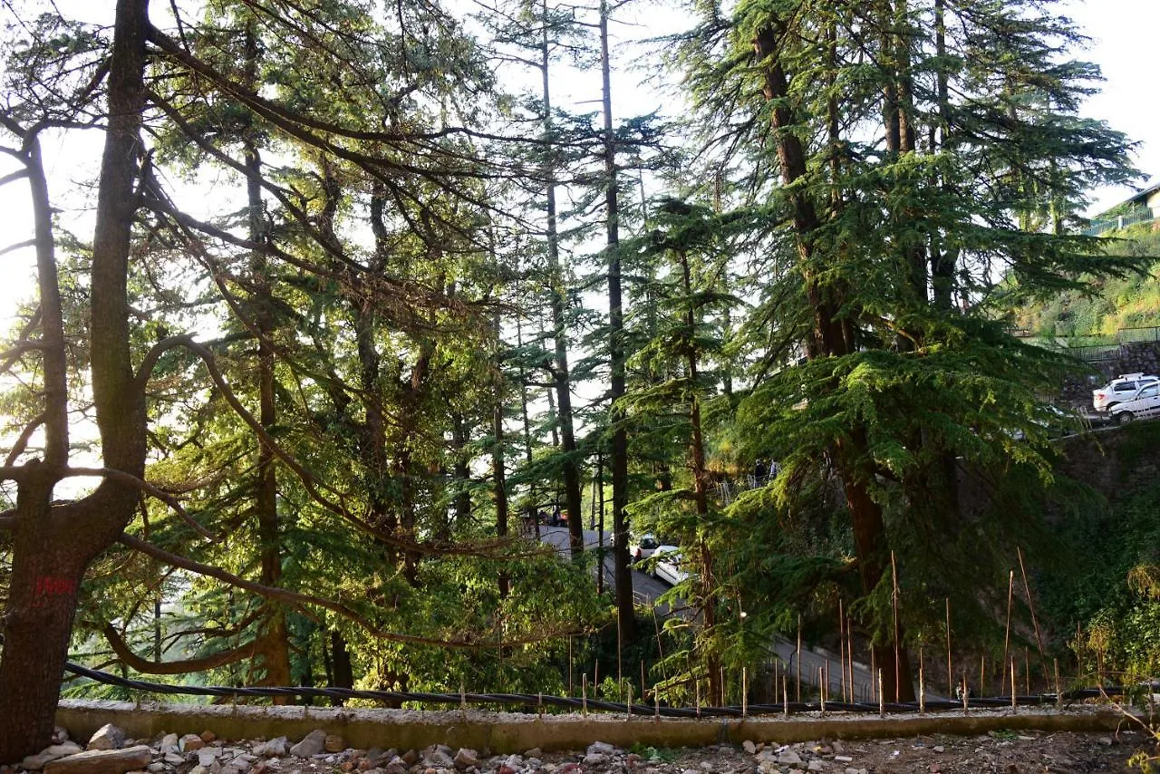 Royale Retreat Hotel & Spa Near Mall Road Shimla 4*,