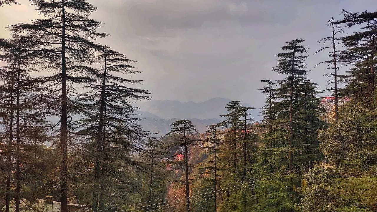Royale Retreat Hotel & Spa Near Mall Road Shimla